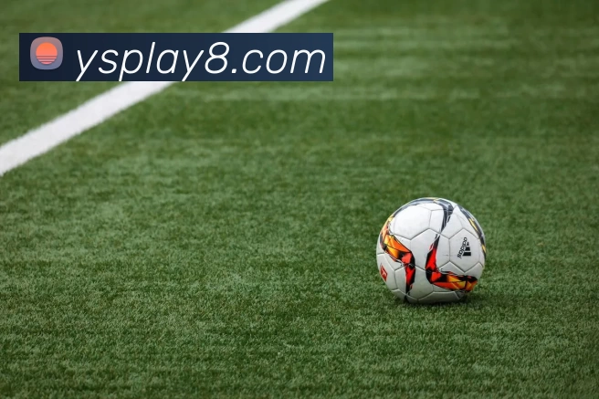 App Interface Preview