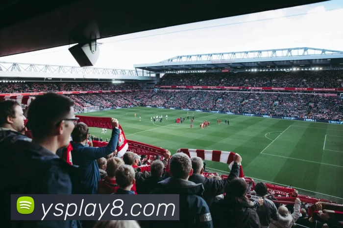 耀世娱乐官网APP 封面图