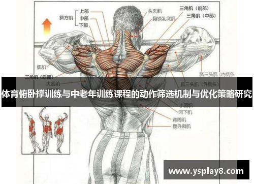 体育俯卧撑训练与中老年训练课程的动作筛选机制与优化策略研究